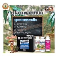 ราคา หญิงงาม ชุดขยายขนาดใบ (1ชุดแถมเสื้อ) ขยายขนาดใบ ให้ใบใหญ่ ใบหนา ใบเข้ม 1ชุดมี3ขวด (28194051189)