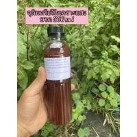 ราคา จุลินทรีย์สังเคราะห์แสง ขวดขนาด 300 ml (26816685160)