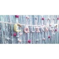 ราคา ป้ายธงอักษรผ้า Baby Banner ป้ายชื่อลูกน้อย/คนรัก /ป้ายชื่อร้าน (198770549)