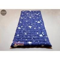 ราคา ที่นอนปิคนิค เบาะรองโซฟาเก้าอี้ไม้ ขนาด 70×180 cm. (5172819837)