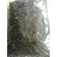 ราคา ขายดินสำหรับปลูกผักสมุนไพรฝรั่ง ดินปลูกโรสแมรี่ ดินปลูกไทม์ ดินปลูกพาร์ลี่ ดินปลูกคลูลิ่ง และอื่นๆ (7248716490)