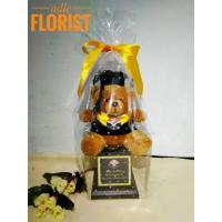 ราคา ถ้วยรางวัลตุ๊กตารับปริญญา / พัสดุตุ๊กตารับปริญญา / ถ้วยรางวัลตุ๊กตารับปริญญา / ของขวัญช่อรับปริญญา (24438439073)