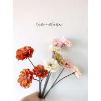 ราคา ดอกบานชื่น ดอกไม้แห้ง ประดิษฐ์ จากวัสดุธรรมชาติ อยุ่ได้นานค่า (9160961285)