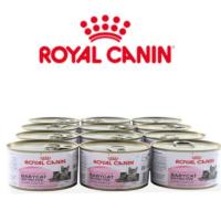 ราคา อาหารแมวแบบเปียก ROYAL CANIN BABYCAT 195g (12กระป๋อง) (1680323428)