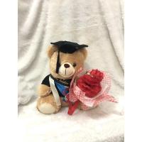 ราคา ตุ๊กตาหมีรับปริญญา/หมีรับปริญญา/ตุ๊กตาหมีรับปริญญา (29423081977)