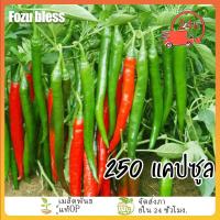 ราคา ใหม่! ซื้อ 5 แถม 5 เมล็ดพริก 250 เมล็ด เมล็ดพริกโจลอง พริก เมล็ด เมล็ดพันธุ์ ผักสวนครัว พริกขี้หนูสวน พริกชี้ฟ้า ☘️งอก (40621006622)