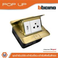 ราคา BTicino ชุดเต้ารับเดี่ยว 3ขา มีม่านนิรภัย + เต้ารับUSB + เต้ารับฝังพื้นสีทอง รุ่น Matix | Ucanbuys (56601104466)