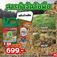 ราคา ยาฆ่าหญ้าแบบดูดเผาไหม้สูตรอินทรีย์ เพชรดำพลังง้วนดิน1แกลลอน แถมกลูโฟซิเนต1ขวด ช่วยในการบำรุงดิน (15499668550)