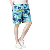 ราคา กางเกงขาสั้น สำหรับผู้ชาย ใส่เที่ยวทะเล ผ้าบางแห้งเร็ว (พร้อมส่ง) (12044544916)