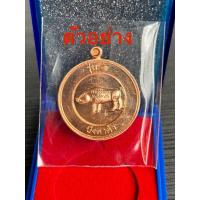 ราคา เหรียญหมู หลวงพ่อสมคิด วัดบึงตาต้า รุ่น1 เนื้อทองแดง ปี2564 ( ไม่แกะซีล ลุ้นเลข ) (29604874790)