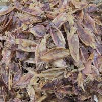 ราคา หมึกกล้วยจืด หมึกกล้วย แกะตาแกะไส้แล้ว สะอาดอบแห้งน้ำหนักเบา (กัลยาปลาหมึกแห้ง) (44173301127)