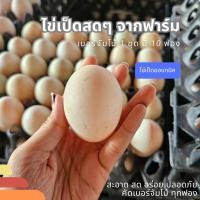 ราคา ไข่เป็ดสด ไข่เป็ดออแกนิค ไข่เป็ด 1ชุด มี 10 ฟอง ขนาดเบอร์จัมโบ้ (19986955759)