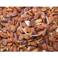 ราคา เม็ดกระบกคั่วบรรจุ150กรัม (46052673398)