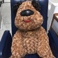 ราคา ตุ๊กตาหมาชื่อหมูปิ้ง#rainflower#ของแท้ป้ายห้อย (1723340912)