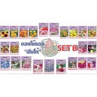 ราคา CHIATAI ดอกไม้ซอง เจียไต๋ SET B (13ชนิด) เมล็ดพันธุ์ เมล็ดดอกไม้ เมล็ดดอกไม้เจียไต๋ ดอกไม้เจียไต๋ ตราเครื่องบิน (4461396174)