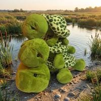 ราคา ตุ๊กตาเต่า เต่าแซมมี่ ตุ๊กตาเต่าขนาดใหญ่ พร้อมส่ง | ขนาด20-65ซม. (56802137261)