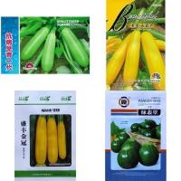 ราคา เมล็ด ซูกินี เขียว zucchini บรรจุ10-25 เมล็ด ซูกินีลูกกลม เหลือง สายพันธุ์ OP/F1 สายพันธุ์ OP (49706758972)