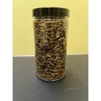 ราคา Larva Black Soldier Fly (27643040250)