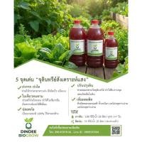 ราคา >>พร้อมจัดส่ง<< จุลินทรีย์สังเคราะห์แสง (PSB) เร่งการเจริญเติบโตของพืช ปลอดสารเคมี ขนาด 1.5 ลิตร (54054366922)