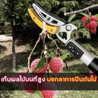 ราคา กรรไกรตัดกิ่ง กรรไกรตัดผลไม้ SK5 (กรรไกรยาว 2 เมตร) การเก็บผลไม้ การตัดแต่งกิ่ง กรรไกรตัดหนีบผลไม้ด้ามยาว (28062988276)