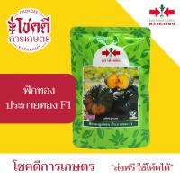 ราคา ฟักทอง ประกายทอง F1 ล๊อตใหม่ใส่ถุง เมล็ดพันธุ์ ฟักทอง ลูกผสม ตรา ศรแดง บรรจุ 100 กรัม (45600734800)
