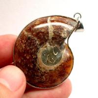 ราคา Ammonite pendant จี้ หอย แอมโมไนต์ หอยล้านปี จี้หอยแอมโมไนต์ คตหอย ใส่พกติดตัว เพิ่มพลัง (29508251312)