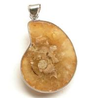 ราคา Ammonite pendant จี้ หอย แอมโมไนต์ หอยล้านปี จี้หอยแอมโมไนต์ คตหอย ใส่พกติดตัว เพิ่มพลัง (28909052126)
