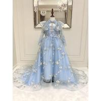 ราคา เดรสออกงานราตรียาวแขนยาว ผ้าลูกไม้สีฟ้าทอลายนูน ดีเทลคอปกเชิ้ตหรูหรา (24627868761)