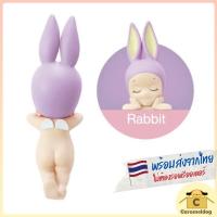 ราคา พร้อมส่ง Sonny Angel น้องกระต่าย จาก Hipper Dreaming Series (16091291575)