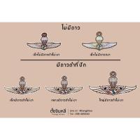 ราคา สติ๊กเกอร์ ปีกร่มตำรวจ (15571388220)