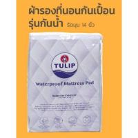 ราคา ทิวลิป ผ้ารองที่นอนกันเปื้อน กันน้ำ(Tulip Waterproof Mattress Pad) ใช้กับที่นอนหนาได้ถึง 14 นิ้ว (8156590682)