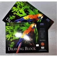 ราคา DRAWING BLOCK B4 135GSM 20S (PER ชิ้น) (18480181420)
