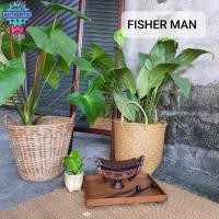 ราคา ระนาด ระนาดไม้จิ๋ว ระนาดไม้แก้น ขนาด 22Cm (29861964178)