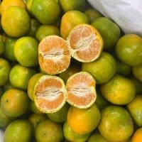 ราคา ส้มสายน้ำผึ้ง เบอร์3/5กก. อ.ฝาง จ.เชียงใหม่ สดจากสวน (25978026009)