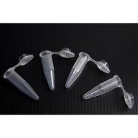 ราคา หลอดไมโครทิว หลอดเก็บเมล็ดพันธุ์ มีฝาปิด ขนาด 1.5 ml/ Plastic Micro tube (PP) , Centrifuge Lab Test with Cap (4279185854)