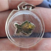 ราคา ปลาตะเพียนเงิน-ปลาตะเพียนทอง ตัวผู้-ตัวเมีย พิมพ์ใหญ่ หลวงพ่อจง วัดหน้าต่างนอก อยุธยา (21693179878)