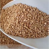 ราคา ขนาด 1 กิโล เม็ดสาคูแท้ 100% จากต้นสาคูธรรมชาติ | ออร์แกนิค |คัดเกรด | ของดีจากเมืองพัทลุง (5258563320)