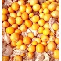 ราคา ไข่อ่อน ไก่(พวง) สด สะอาด รับประกันคุณภาพ (41665419011)