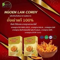 ราคา ถั่งเช่า เห็ดถั่งเช่าสีทองแท้100% (12493949943)