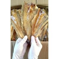 ราคา ปลาตากแห้ง ปลาช่อนทะเลบางกลาง ตัวกำลังดี ไม่เล็กไป ไม่ใหญ่ไป เนื้อบาง เค็มน้อย สด สะอาด รสชาติอร่อย (19295532793)