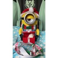 ราคา ถังป๊อปคอร์นมินเนี่ยนถือกล่องของขวัญ (11736202011)