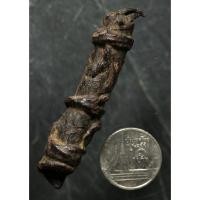 ราคา ตะกรุดหนังหน้าผากเสือ หลวงปู่นาค วัดอรุณฯ ขนาดยาว ๒ นิ้วครึ่งครับ (56656213221)