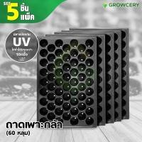 ราคา [G.] (Set 5 ใบ/แพ็ค) ถาดเพาะกล้า ถาดหลุม เพาะเมล็ด ถาดเพาะชำ ถาดเพาะ จำนวน 60 หลุม (หนา 0.7 มม.) โดย GROWCERY (11855092178)