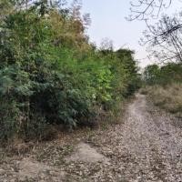 ราคา ที่ดิน ติดถนน ทำเลดีราคาถูก (52656314784)