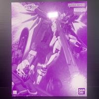 ราคา MG 1/100 ZGMF-X56S/ι Destiny Impulse Gundam R (Regenes) (Mobile Suit Gundam SEED Destiny Astray R) (2086045291)