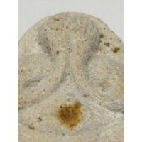 ราคา 1ฺพระปิดตาหลวงปู่โต๊ะปี2524รุ่นเกศมงคลพระแท้ดูง่ายเป็นบล็อคแรกๆมวลสารแน่นปรึกสวยคมชัดได้พระตรงปก (41976462760)