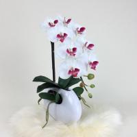 ราคา แจกันดอกไม้ประดิษฐ์ กล้วยไม้สีขาวจัดในแจกันเซรามิคสีขาว ดอกไม้ปลอมพร้อมแจกัน (19952336456)