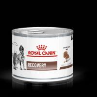 ราคา Royal Canin Recovery 195gแพ็คเกจใหม่!!! อาหารสัตว์ป่วย หรือพักฟื้น สุนัข และแมว 1 กระป๋อง (26132150099)