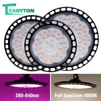 ราคา UFO ไฟปลูกต้นไม้ Led Grow Light Full Spectrum 100W150W 200W กันน้ำ หลอดไฟปลูกต้นไม้ ไฟต้นไม้ ด้วยปลั๊ก ช่วยต้นไม้ตัวเร็ว (15191035090)