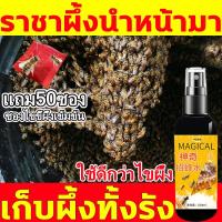 ราคา ผึ้งมาทันที เก็บผึ้งทั้งฝูง ไขผึ้ง 100ml แถม 5 ซอง ซองไขขี้ผึ้งเข้มข้น ไขขี้ผึ้ง ขี้ผึ้งแท้ beeswax beewax ขี้ผึ้งก้อน (28755537095)
